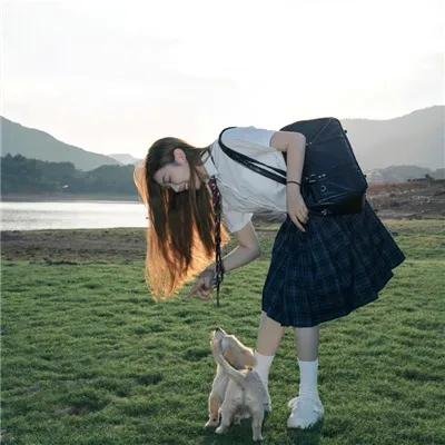 文豪野犬第三季